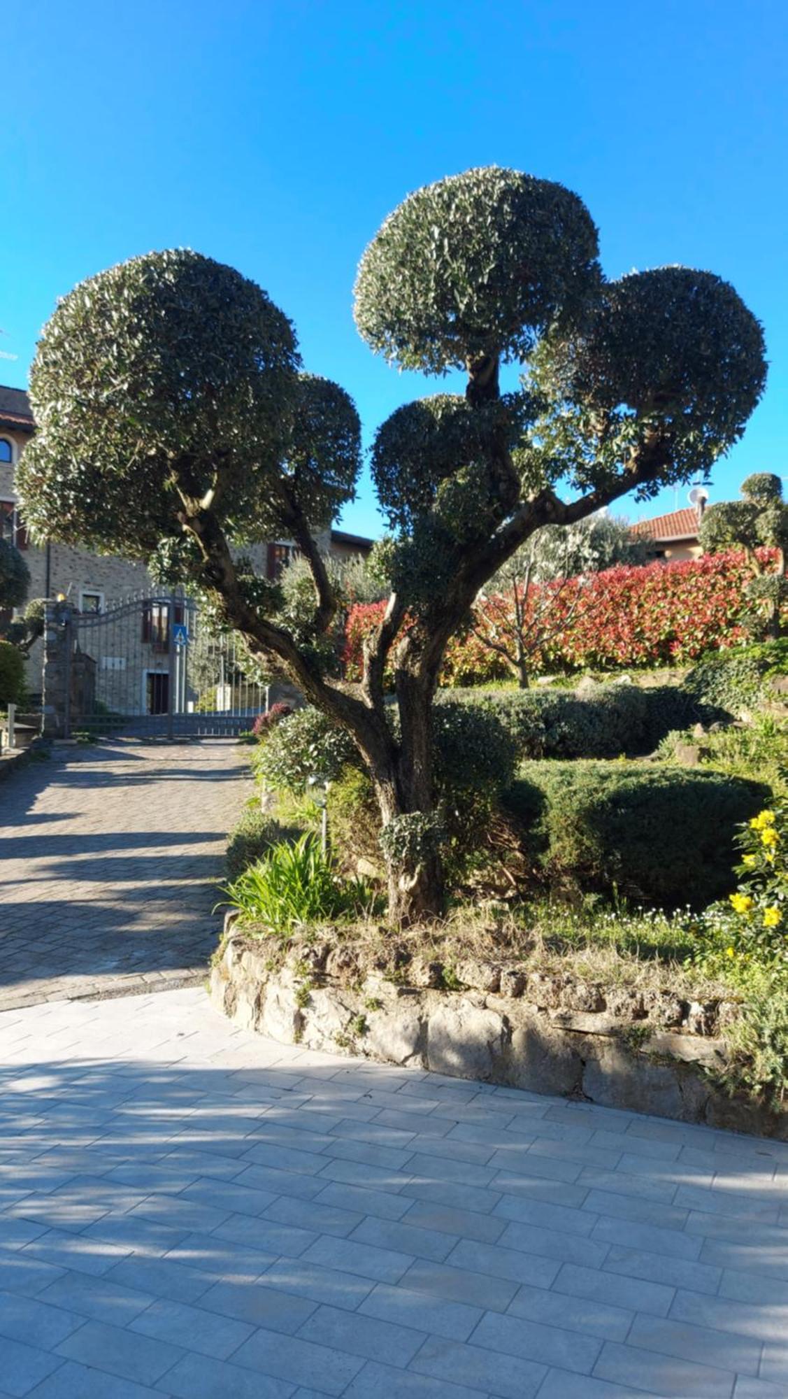 Al Vecchio Lavatoio Hotel Colle Brianza Exterior photo